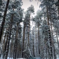 Лагерь туристов :: Георгиевич Лагерь туристов :: Георгиевич