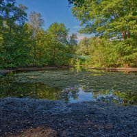 (°-°) :: Jakob Dick (°-°) :: Jakob Dick