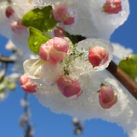 * * * :: Уже не важно * * * :: Уже не важно