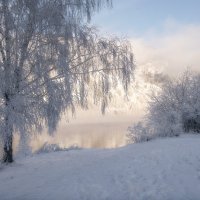 Зимняя нежность :: Марина Фомина.