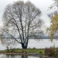 *** :: Владимир Безбородов *** :: Владимир Безбородов