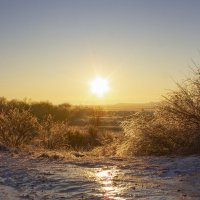 Гололед. :: Александр. AVG100 ---
