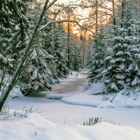 Бывали же снежные зимы! :: Александр Силинский Бывали же снежные зимы! :: Александр Силинский
