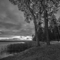 б/н :: Николай б/н :: Николай