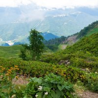 Райские места :: Сергей Алексеевич Митянин