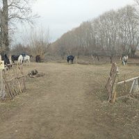 Talgar. :: Murat Bukaev 