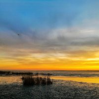 Лёд неокрепший cловно как тающий сахар лежит :: Hope Лёд неокрепший cловно как тающий сахар лежит :: Hope