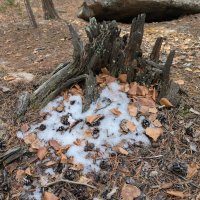 Сказочная страна :: Андрей Хлопонин