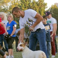 Выставка собак :: Светлана Ищенко