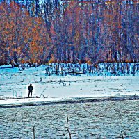 Ноябрь...Одиночество у реки! :: Владимир 