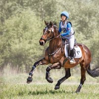 Кросс :: SanSan 