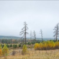 Осень :: **** vedin