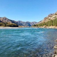 Алтай, река Катунь :: Галина Нестратова Алтай, река Катунь :: Галина Нестратова