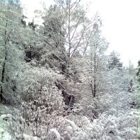 Когда то давно зимой :: Елена Семигина Когда то давно зимой :: Елена Семигина