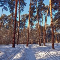 Тропа здоровья! :: Елена Хайдукова ( Elena Fly ) Тропа здоровья! :: Елена Хайдукова ( Elena Fly )