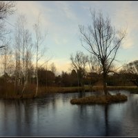 *** :: Aleksandr Gal