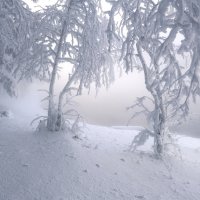 Морозное дыхание реки :: Марина Фомина. Морозное дыхание реки :: Марина Фомина.