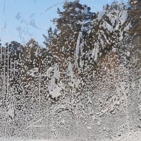 Новогоднее настроение :: Галина Минчук