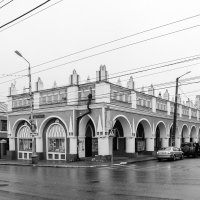 ___ :: Галина Ложечникова