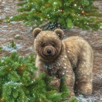 Мишка :: Freddy 97 Мишка :: Freddy 97