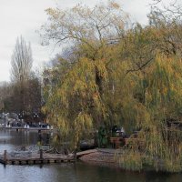 Железноводск. В парке. :: Александр Николаев