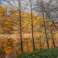 Октябрь в Царицыно... :: Владимир Жданов Октябрь в Царицыно... :: Владимир Жданов