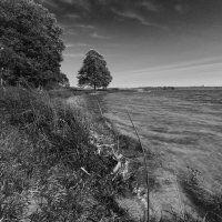 Б/Н :: Николай 