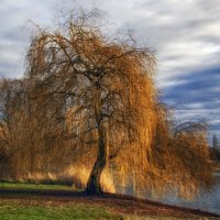 **** :: Андроник Александр **** :: Андроник Александр