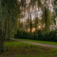 По дорожке... :: Николай Гирш По дорожке... :: Николай Гирш