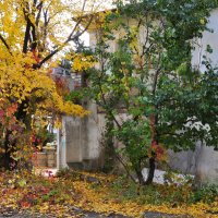 Осенний фейерверк :: Татьяна Машошина Осенний фейерверк :: Татьяна Машошина