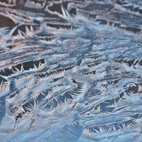 Это только начало... :: Валентина  Нефёдова 