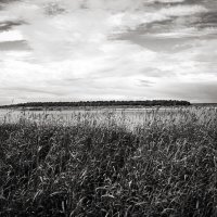 Фотография :: Денис Безногов