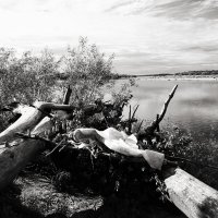 Фотография :: Денис Безногов