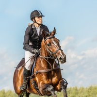 Конкур :: SanSan 