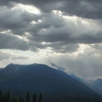 Туманно. :: Марина Леонидовна Туманно. :: Марина Леонидовна