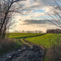 Дорога сквозь облака :: Валерий Ткаченко