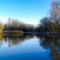 Природа ноябре. :: Милешкин Владимир Алексеевич Природа ноябре. :: Милешкин Владимир Алексеевич