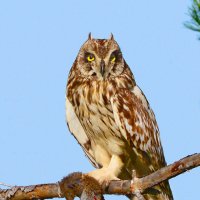 Заслуженный отдых :: Михаил Белоусов Заслуженный отдых :: Михаил Белоусов