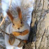 Ждет нас... :: Галина Нестратова Ждет нас... :: Галина Нестратова