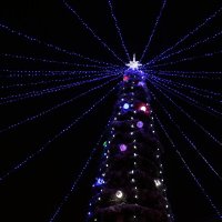 Огоньки полярной ночи :: Ольга Огоньки полярной ночи :: Ольга