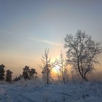 Морозный день :: Ирина *