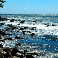 Черное море :: Натали 