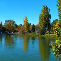 Пейзажи  Гагаринского  парка :: Валентин Семчишин