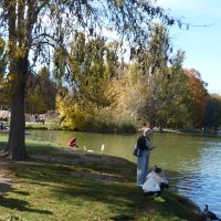 Осенний парк Гагарина :: Валентин Семчишин Осенний парк Гагарина :: Валентин Семчишин