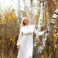 Инесса Венская :: Инесса Венская Инесса Венская :: Инесса Венская