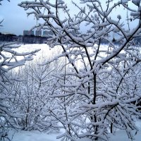 Зима :: Елена Семигина Зима :: Елена Семигина