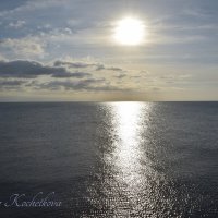 Природа Крыма :: Amazing Cosmea