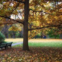 Осень в ботаническом саду. :: Лилия * Осень в ботаническом саду. :: Лилия *