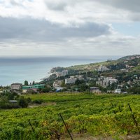 ... :: Сергей Яковлев