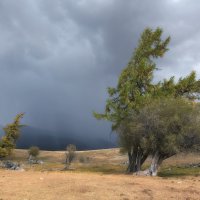 Перед грозой :: Марина Фомина. Перед грозой :: Марина Фомина.